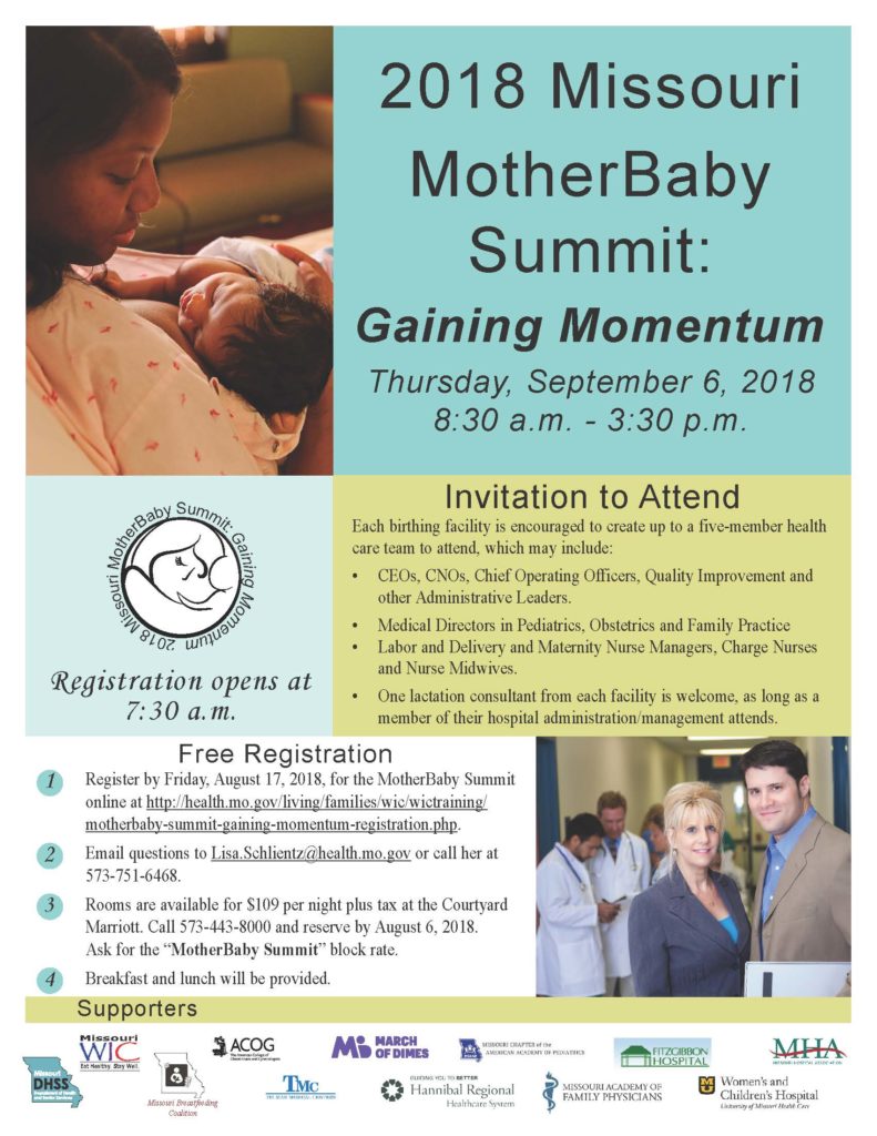 MotherBaby Summit 2018 Gaining Momentum
